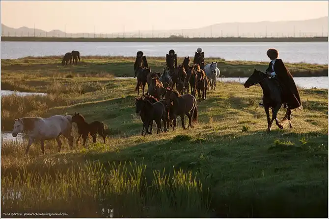 Путешествие в край волшебных скакунов