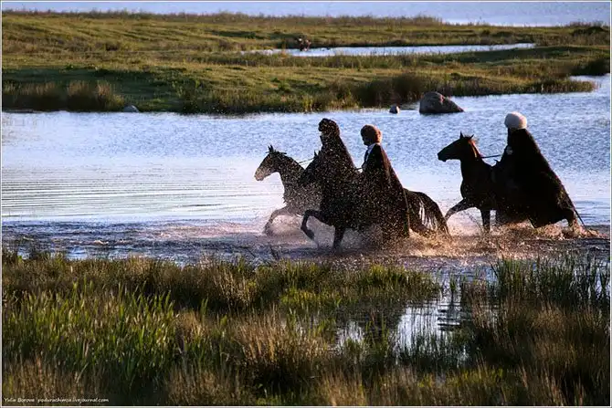 Путешествие в край волшебных скакунов