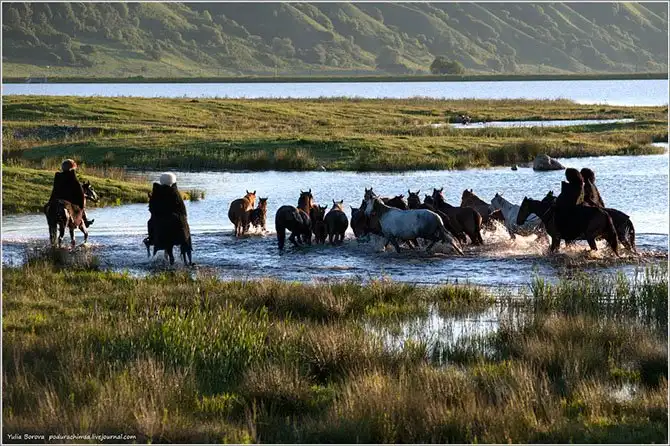 Путешествие в край волшебных скакунов