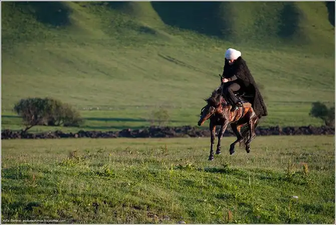 Путешествие в край волшебных скакунов