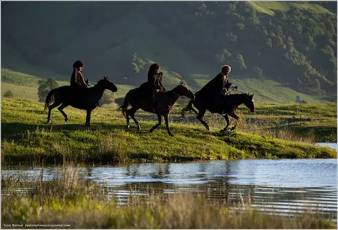 Путешествие в край волшебных скакунов