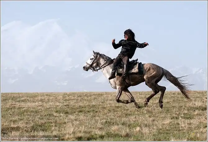 Путешествие в край волшебных скакунов