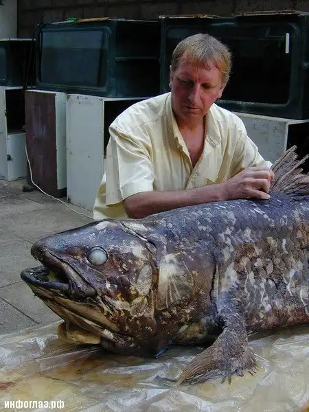 Живое ископаемое