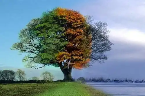 Экспедиция 8 Миф о межзвёздном медведе