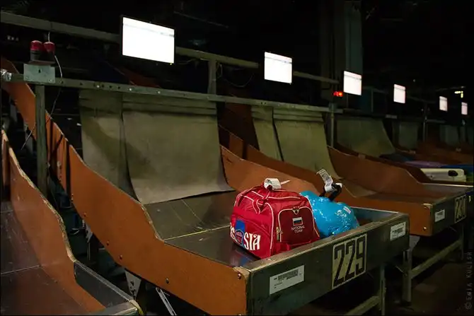 Как сортируют багаж в аэропорту Домодедово