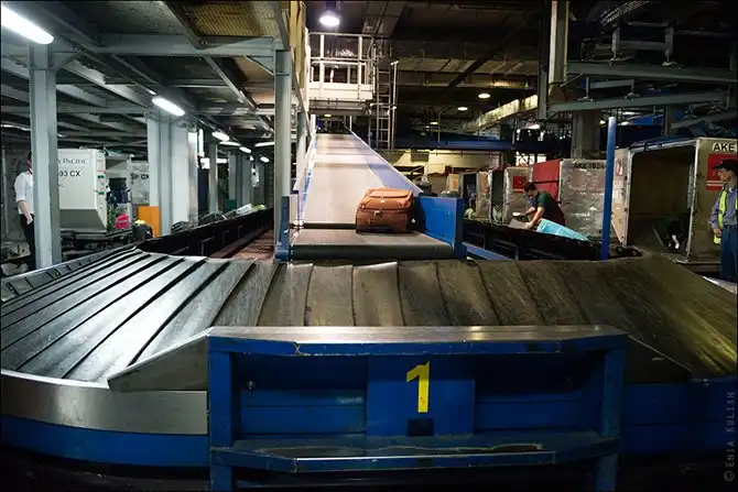 Как сортируют багаж в аэропорту Домодедово