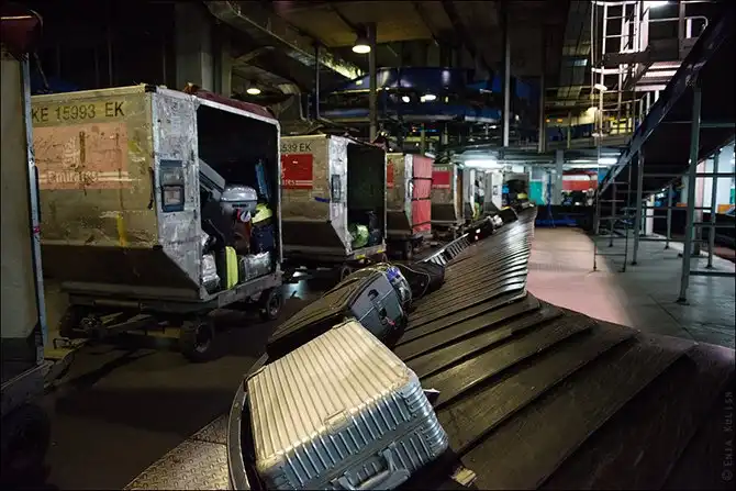 Как сортируют багаж в аэропорту Домодедово