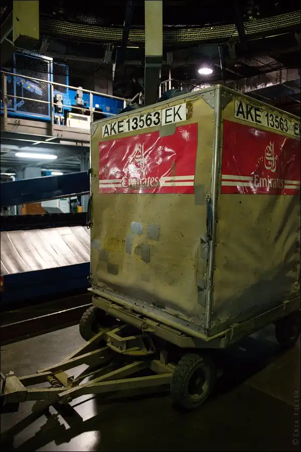 Как сортируют багаж в аэропорту Домодедово