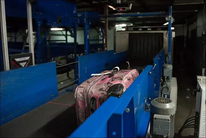 Как сортируют багаж в аэропорту Домодедово