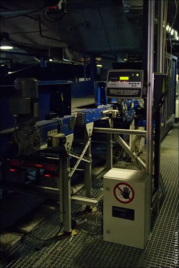 Как сортируют багаж в аэропорту Домодедово