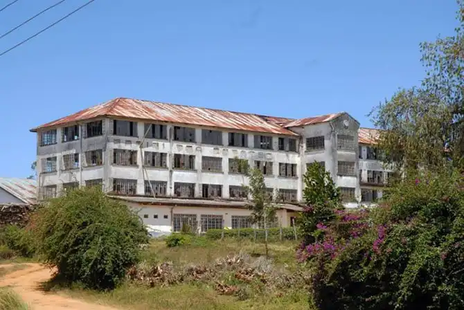 Пейзажи чайных плантаций