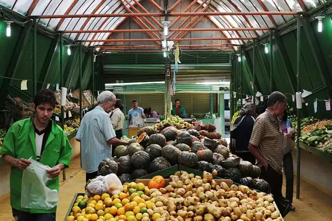 Города, которые примут матчи Чемпионата мира по футболу 2014. Белу-Оризонти