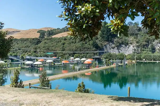 Путешествие по Национальному парку Новой Зеландии