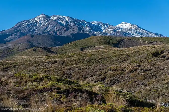 Путешествие по Национальному парку Новой Зеландии