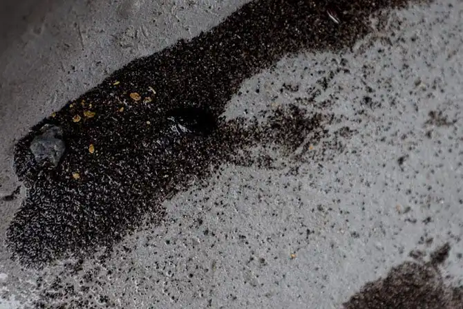 Как в Грузии добывают золото