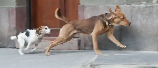 15 лучших фильмов Каннского фестиваля