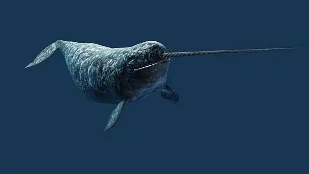 22 животных, о которых вы не знали