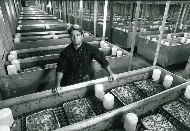 10 самых странных животных, которых выращивают на фермах