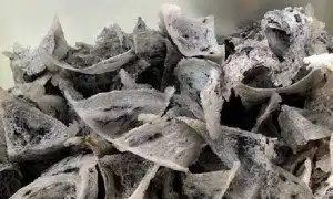 10 самых странных животных, которых выращивают на фермах