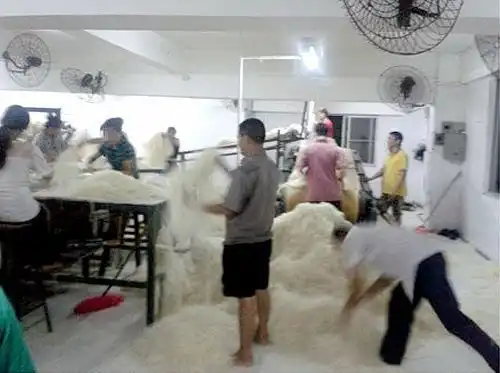 О санитарной обстановке на фабрике китайской лапши