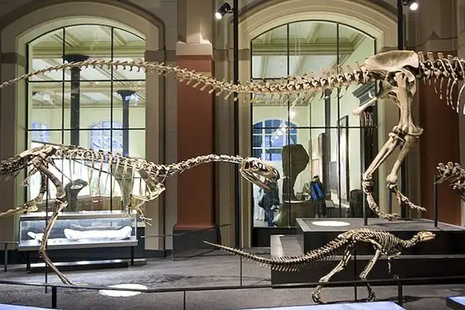 Чем заняться в Берлине