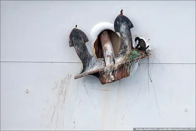 Паутина времен на берегах Босфора