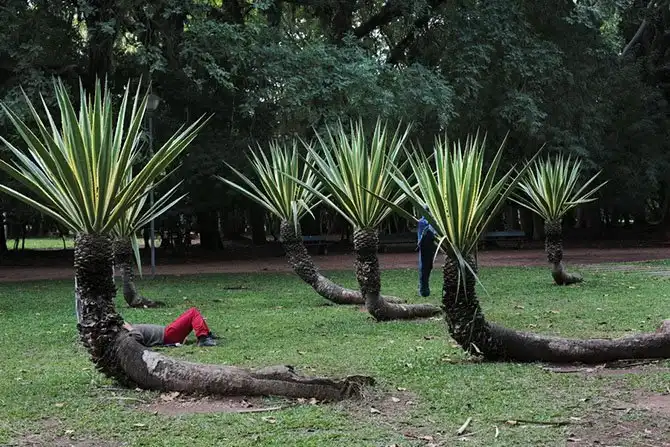 Города, которые примут матчи Чемпионата мира по футболу 2014. Порту-Алегри