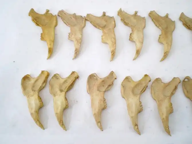 Как создавались костюмы к фильму “Малифисента”