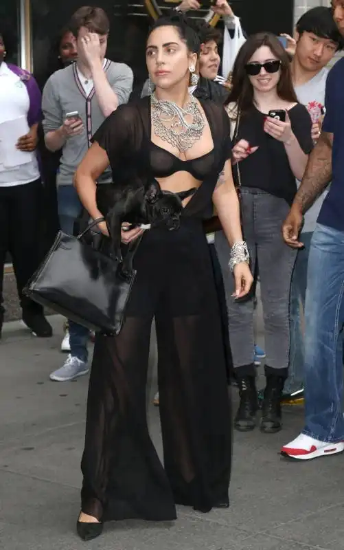 Откровенный наряд Леди Гага