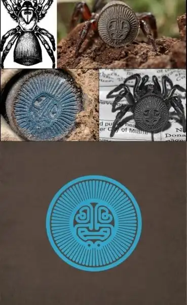 Паук - печать