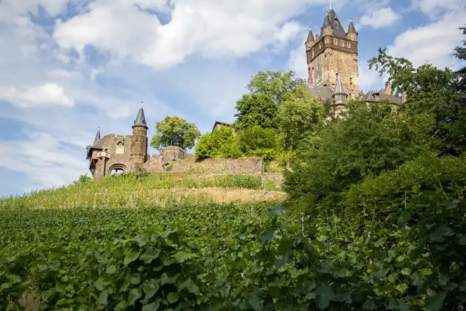 Как в Германии делают вино