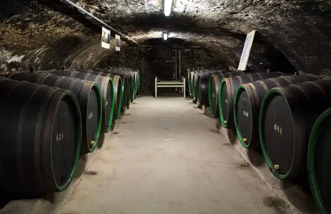 Как в Германии делают вино