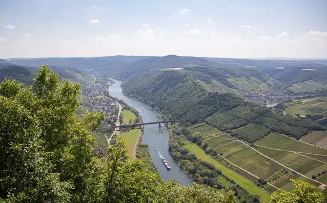 Как в Германии делают вино