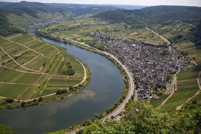 Как в Германии делают вино