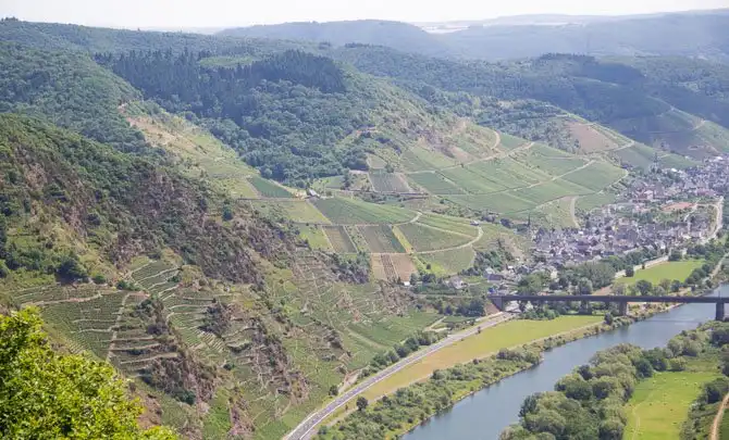 Как в Германии делают вино