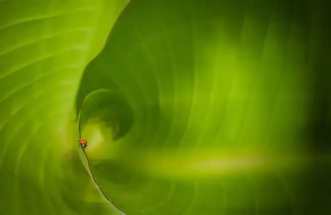 25 самых лучших кадров июня