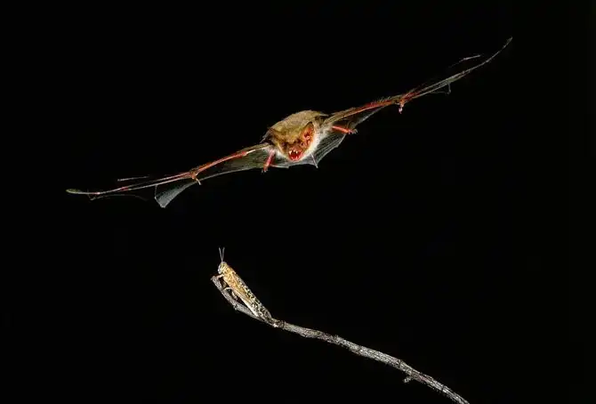 25 самых лучших кадров июня