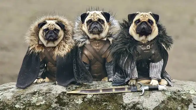 25 самых лучших кадров июня