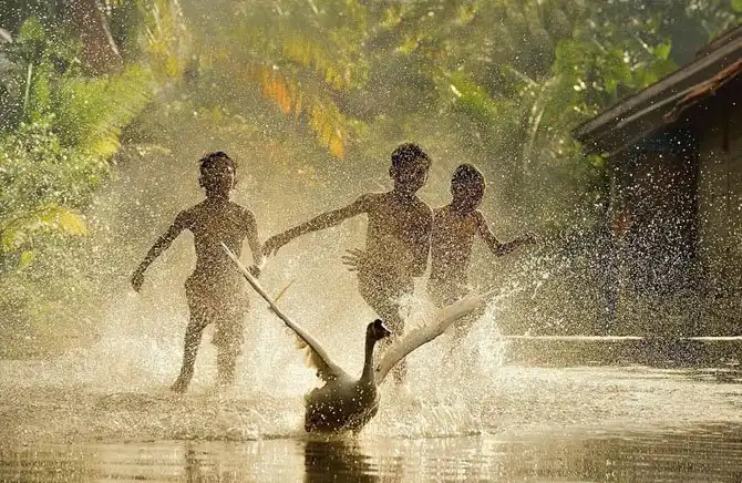 25 самых лучших кадров июня