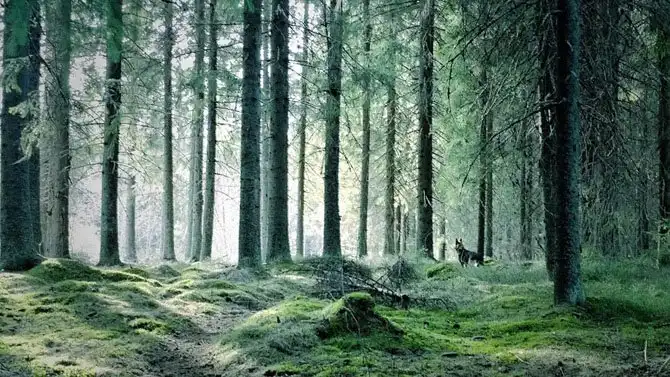 25 самых лучших кадров июня