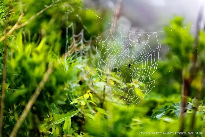 Маяк Скрыплева: морские ворота во Владивосток