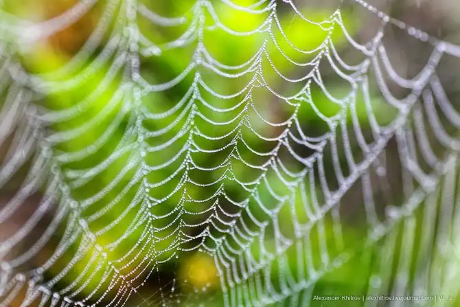 Маяк Скрыплева: морские ворота во Владивосток