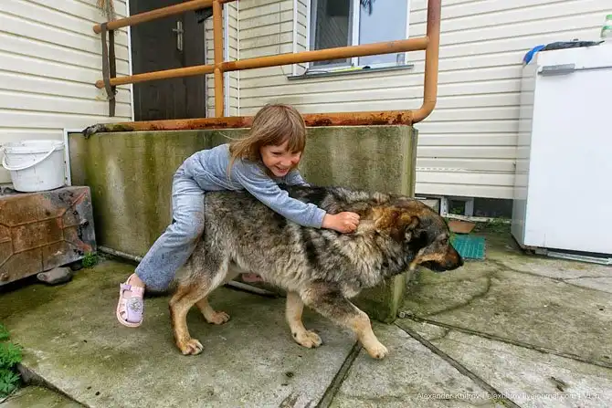 Маяк Скрыплева: морские ворота во Владивосток