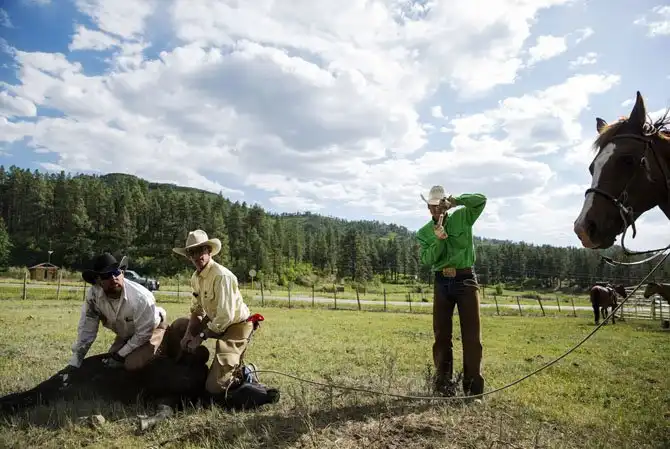 Жизнь на настоящем ранчо