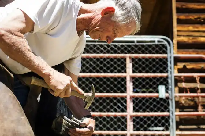 Жизнь на настоящем ранчо