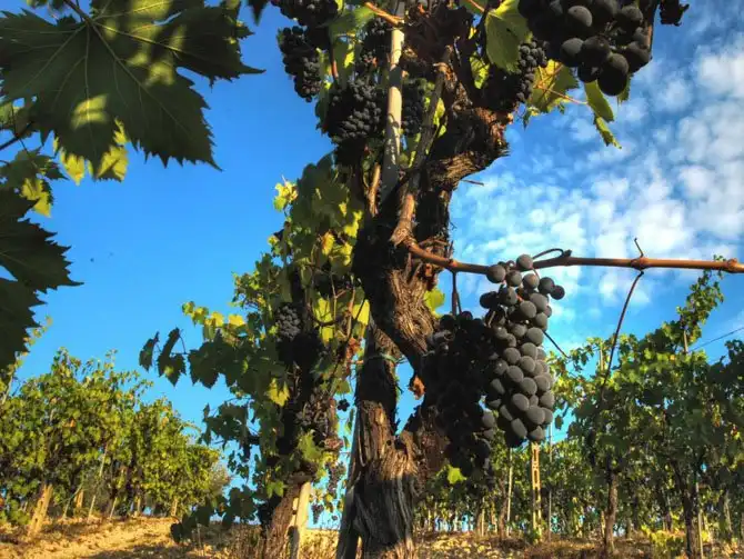 Места, которые стоит посетить, путешествуя по Италии