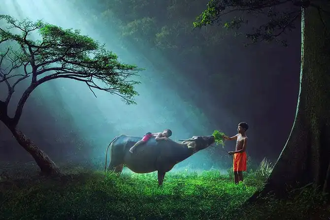 Детские забавы в разных концах света