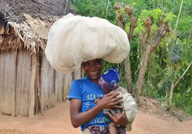 Как выращивают ваниль на Мадагаскаре