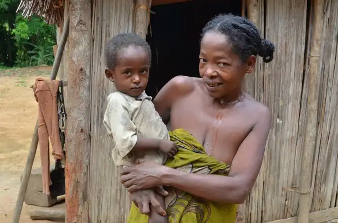 Как выращивают ваниль на Мадагаскаре