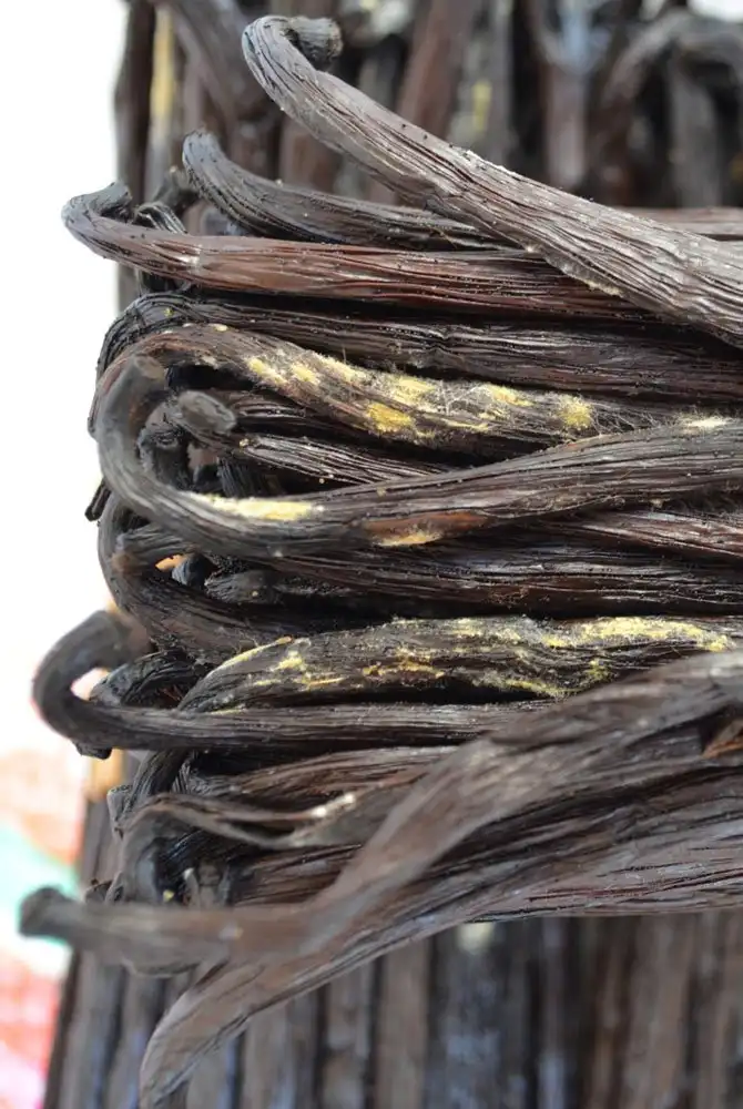 Как выращивают ваниль на Мадагаскаре